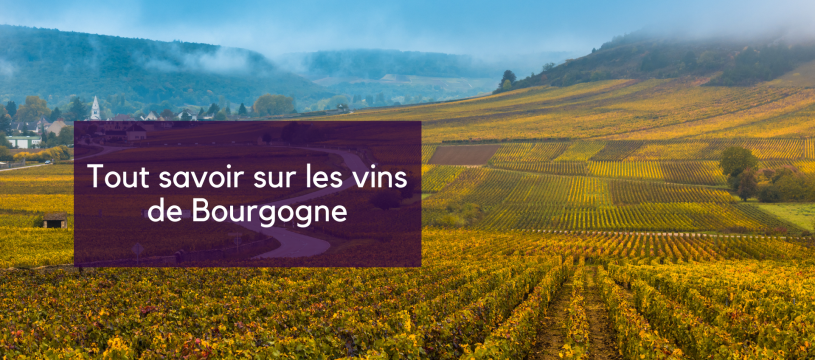 All about Burgundy wines